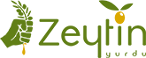 Zeytin Yurdu